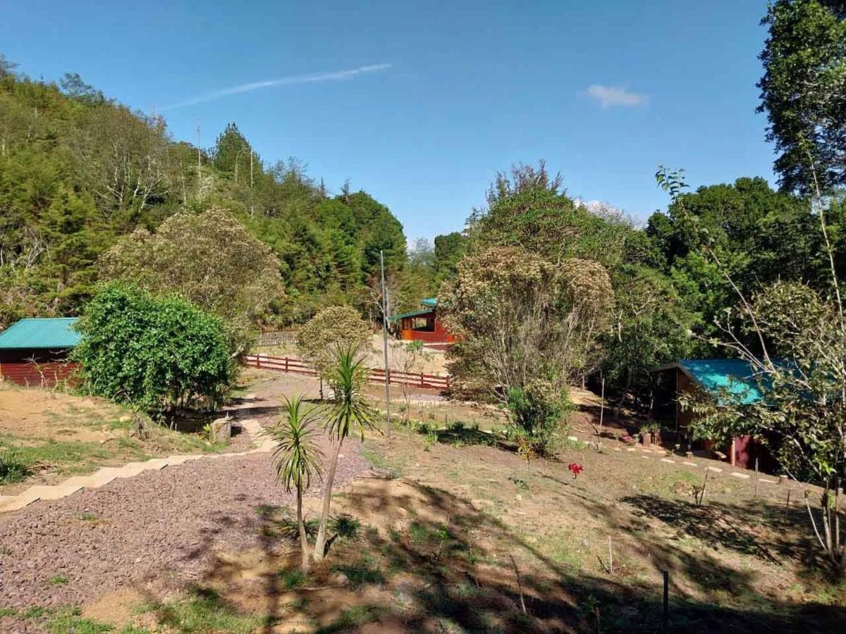 Curuba Lodge Copey Экстерьер фото