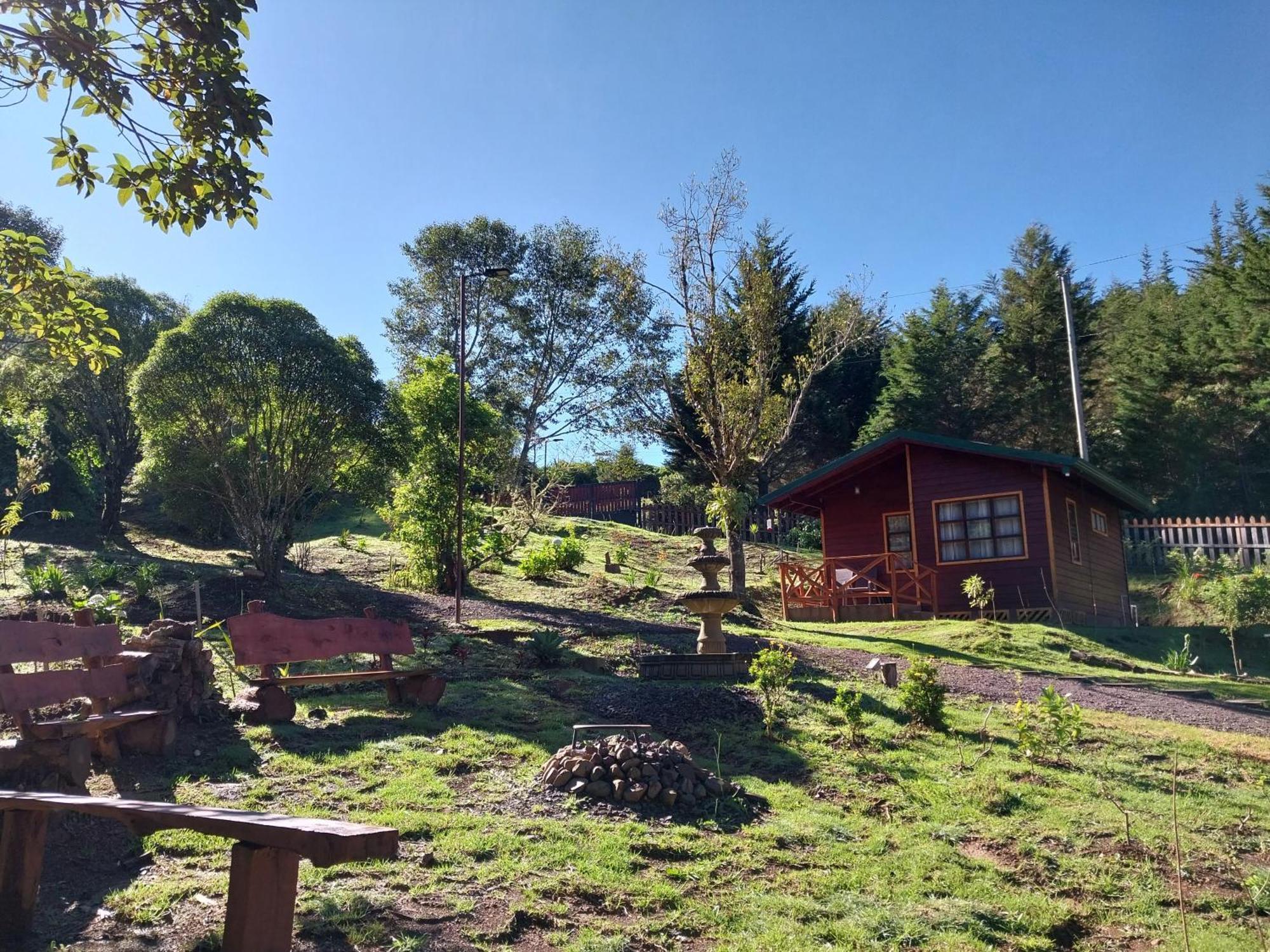 Curuba Lodge Copey Экстерьер фото
