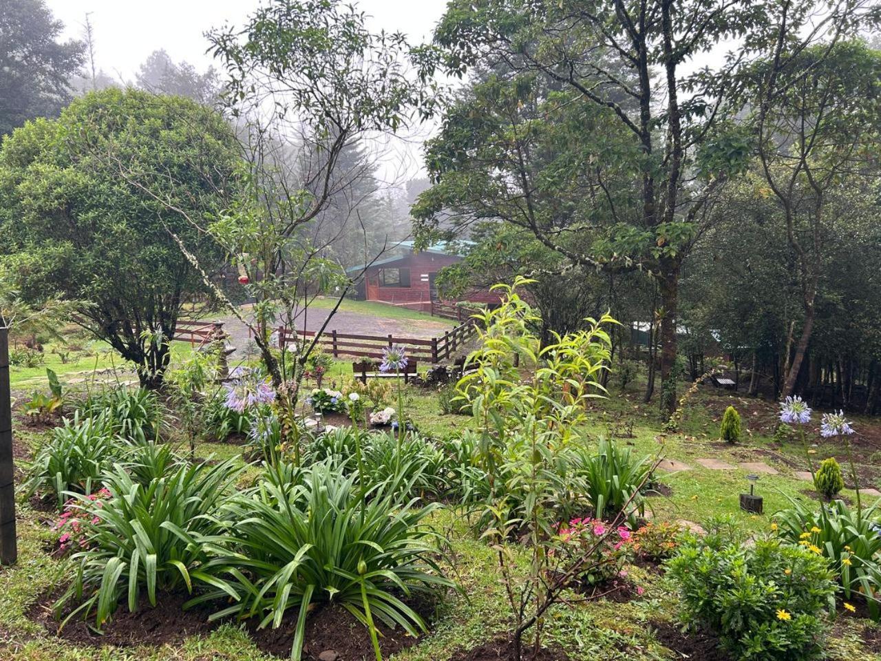 Curuba Lodge Copey Экстерьер фото